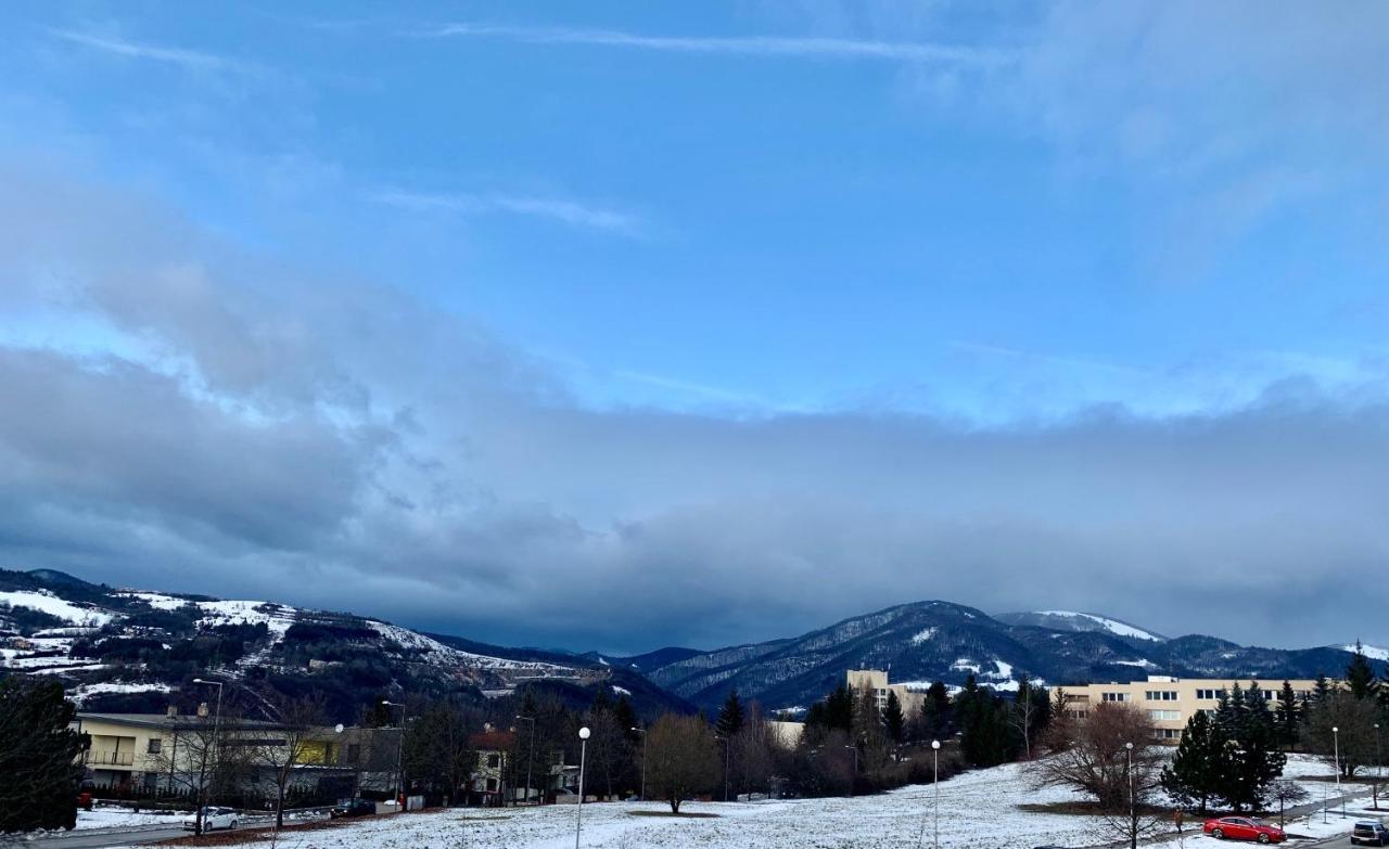 Bl - The Executive Suite, Boru - 24Hr Self Check-In, Free Private Parking, Balcony With Mountain View, 5 Minute Walk To City Center Banská Bystrica Esterno foto