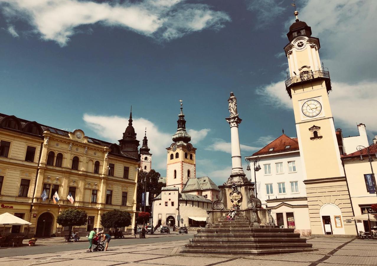 Bl - The Executive Suite, Boru - 24Hr Self Check-In, Free Private Parking, Balcony With Mountain View, 5 Minute Walk To City Center Banská Bystrica Esterno foto