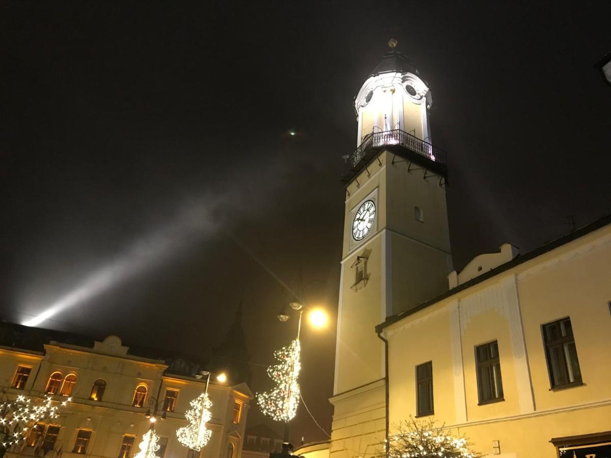 Bl - The Executive Suite, Boru - 24Hr Self Check-In, Free Private Parking, Balcony With Mountain View, 5 Minute Walk To City Center Banská Bystrica Esterno foto